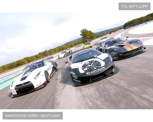 赛车拉力：史诗赛段精彩纷呈，冠军角逐白热化！，赛车拉力3